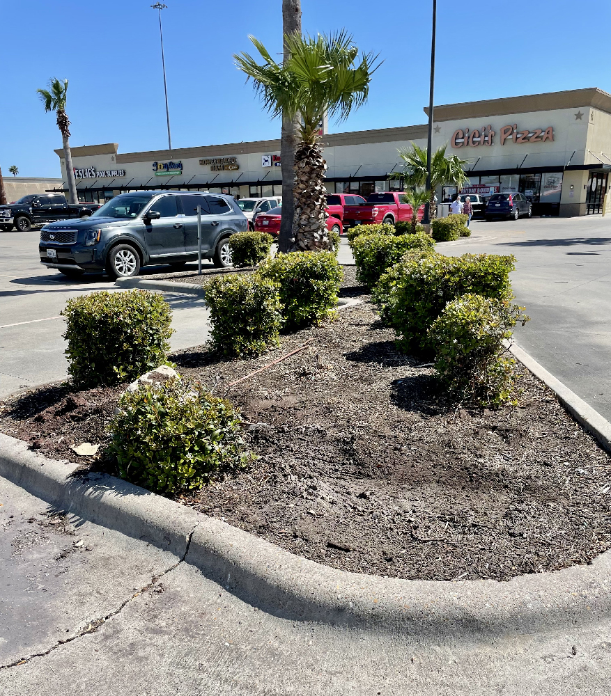 commercial landscaping project on airline road parking lot