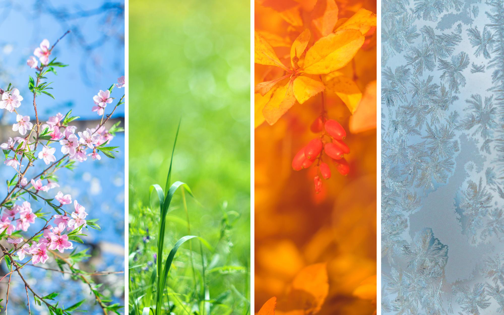 a four column image representing the four seasons in reference to seasonal landscaping