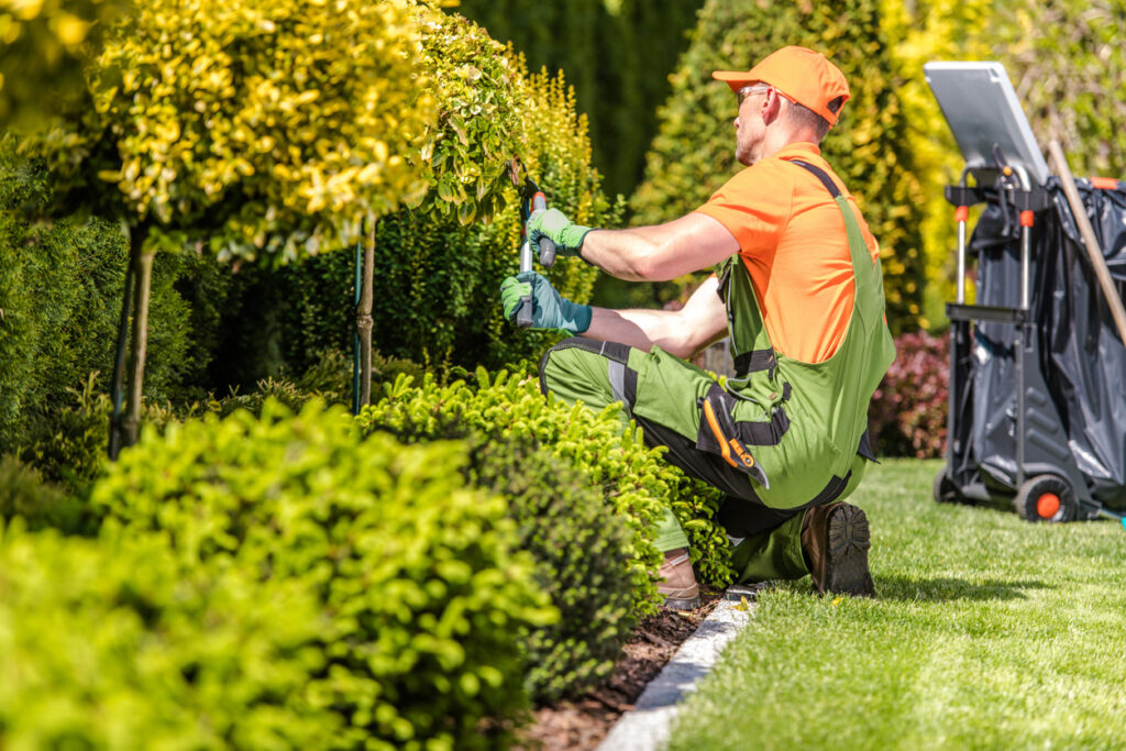 Landscaping Maintenance