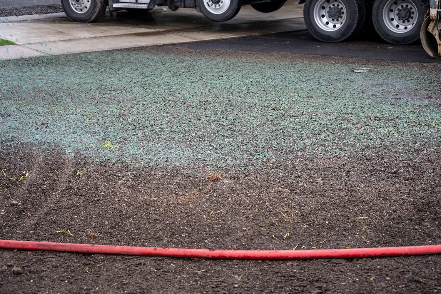 Hydroseeding a liquid lawn by spraying the mixture from a hose