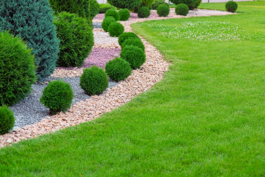 Landscape bed of garden with wave ornamental growth